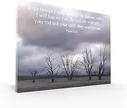 Tomuu Erissa Bible Verses Wall Decor 30x40 cm - Canvas Scripture Wall Art with Christian Gift Tree on Ice Lake - Psalm 23:4 - Inspirational Bible Verse for Home, Church, Office Decor