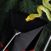 Snake Catcher Net Reptile Catching Equipment with Secure Drawstring Handling Bag