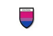 PATCH PATCHES EMBLEM IRON ON GLUE PRINT FLAG world crest pride bisexual