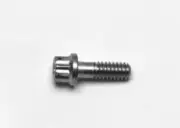 Wilwood Stainless Steel Rotor Bolt - 12pt Fits 1/4-20 X .75 L