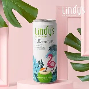 【Lindy's】100%原味椰子水310ml(24入/箱)