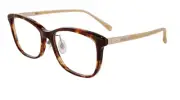 CHOPARD EYEWEAR VCHD10J 0745