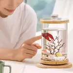 【熱賣】小魚缸 創意生態缸 蝦缸 懶人魚缸 迷你魚缸 水族箱