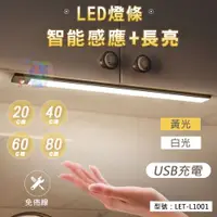 在飛比找蝦皮購物優惠-【USB充電】LED燈條 智能感應+長亮 0.9cm超薄 櫥