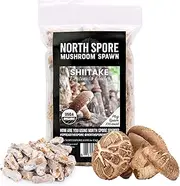 North Spore Organic Shiitake (100 ct) Mushroom Plugs for Logs | Premium Quality Mushroom Plug Spawn | Handmade in Maine, USA | Grow Gourmet Mushrooms Outdoors on Logs | Lentinula edodes