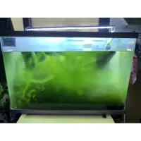 在飛比找蝦皮購物優惠-二尺水族箱～熱帶魚魚缸～養蝦缸～魚缸