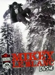 DVS 2006 snowboard Mikey LeBlanc 2 sided promo poster Flawless NEW Old Stock