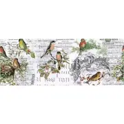 New Tim Holtz Idea-Ology - Collage Paper 6yd Roll - AVIARY