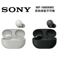 在飛比找ETMall東森購物網優惠-【進店領卷更優惠!!】快速出貨！SONY 索尼 WF-100