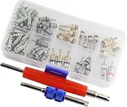 MGAVATPNPY 102pcs A/C System Valves with Remover Tool Kit for R12/ R134A Compatible with Schrader Air Conditioning Hoses and Accessories