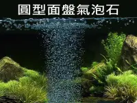 在飛比找Yahoo!奇摩拍賣優惠-圓盤氣泡石 7.5cm 高溫燒結氣泡石 金鋼砂 氣泡打氣 氣