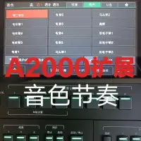 在飛比找露天拍賣優惠-美得理A0電子琴節奏擴展包節奏音色擴展U盤