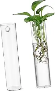 Kisangel 2Pcs Glass Wall Vases Cylindrical Hanging Planters for Indoor Propagated Plants Secure Wall Mounting Elegant Minimalist Home Decor for Living and Office