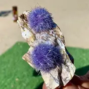 138G Indian dandelion zeolite Quartz Crystal Cluster Mineral Specimen