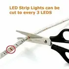 3528 RGB LED Strip Lights 5M 10M 20M Wifi Bluetooth Music 44Key Controlle Power