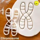Chromosome cookie cutter microbiology genetic molecule medical science DNA