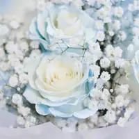 在飛比找momo購物網優惠-【玉屋TAMAYA】晴空藍白玫瑰花束 8朵(鮮花 情人節 開