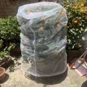 Garden Fruit Tree Plant Cover Bug Net Barrier Bag Vegetable Protection Cover Bag