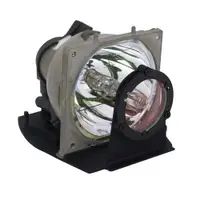 在飛比找樂天市場購物網優惠-OPTOMA原廠投影機燈泡BL-FP120C/SP.8680
