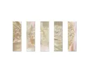Violin/Viola Slide- Mother Of Pearl 5-piece set