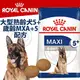 此商品48小時內快速出貨》SHN 新皇家飼料《大型熟齡犬5+歲齡MXA+5》15KG