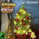 TROMSO 70CM北美真香冠柏聖誕樹-百老匯紅金(2022最新版含滿樹豪華掛飾+贈送燈串)