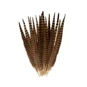 20pcs Male Pheasant Feather Natural Ringneck Tails Feathers 20-22inch 50-55cm...
