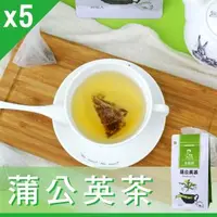 在飛比找森森購物網優惠-【Mr.Teago】蒲公英茶/養生茶/養生飲-3角立體茶包-