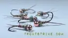 Ten (10) Flies-Tungsten Pheasant Tail Nymphs-Jig Style