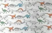 JURASSIC KIDS DINOSAUR Twin Sheet Set ~ Dinosaurs Dinosor Multi Color BRAND NEW