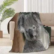 RICKYOUNG Koala Fleece Flannel Lightweight Blankets Plush Microfiber Bedding Throw Blanket for Couch and Bed 60"x50" for Teens