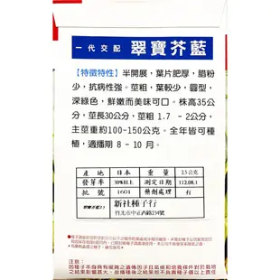 現貨）翠寶芥藍種子｜全年皆可種植｜適播期8-10月｜港式蠔油芥蘭菜｜蔬菜專業戶｜蔬菜種子｜園藝 ｜都市農耕｜開心農場