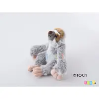 在飛比找蝦皮商城精選優惠-[日本100+1] SM200 樹懶造型填充玩偶