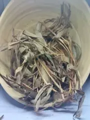 The leaves of Odjom (Cameroon), or dried ginger leaves, or Kablè en (Ivory Coast