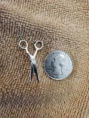 Metal Hair Stylist Hairdresser Groomer Scissors Pin - Silver color
