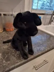 Brand New Jellycat I Am Pippa Black Labrador 100% Original No Fake Hard To Find