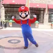 Super Mario Mascot Costume Cosplay Party Fancy Dress Brothers Suits Adult green