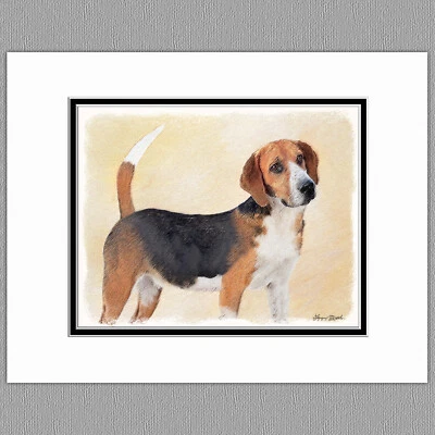 Harrier Dog Original Art Print 8x10 Matted to 11x14