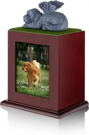 Pet Cremation Urns Pet Urns for Large Dogs Ashes Dog Ashes Urn, Box for Dog Ashe