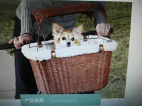 在飛比找Yahoo!奇摩拍賣優惠-浪漫滿屋 solvit寵物自行車旅行包遮陽自行車寵物包狗狗外