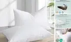 Goose Feather Down Pillows Queen Size Set of 2 - Luxury Soft Feather Down