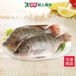 台灣吳郭魚500~600G/尾【愛買冷凍】