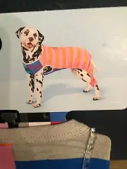 Dog Pajamas Med -Purple/Green/Blue/Orange/Pink LEGO Collection x Target