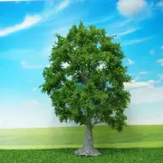Handmade Artificial Trees for Train Railroad Diorama Model Tree Scenery