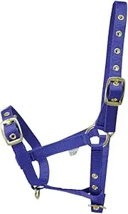 Hy Foal Head Collar (UK Size: One Size) (Blue)