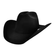 Bailey Wheeler 3X Black Western Hat W1503C-BK001