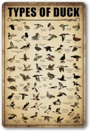 Type Of Duck Tin Sign Hunting Decor Mallard Ducks Knowledge Metal