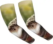 [FHEDVBN] hedgehog Arm Sleeves Compression Arm Covers for Men Women Outdoor Sun Sleeves Cooling Sports Sleeve, Black