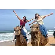 Save 5.01%! 4 Hour Deluxe Private Guided Tour of Tangier