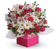 Polka Dot - Flower Arrangement